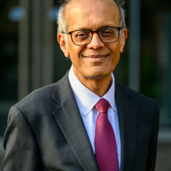 Professor Ajay Shah
